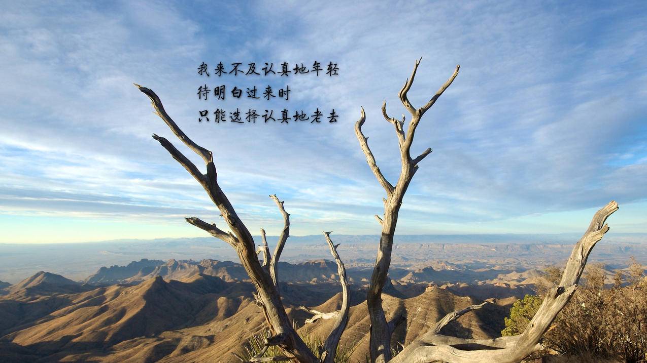 客服主管王小华